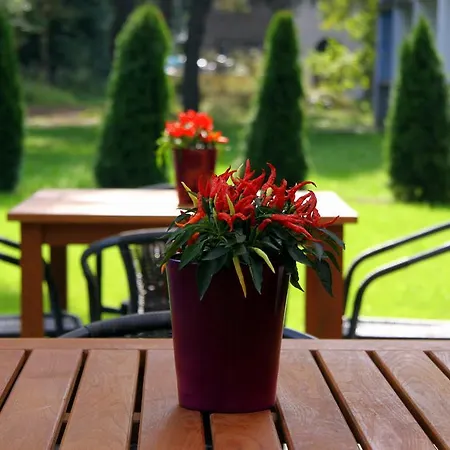 Hostel Obiekt Hotelarski Patron *