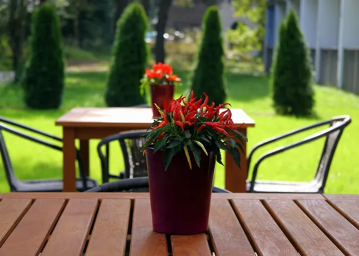 Hostel Obiekt Hotelarski Patron *